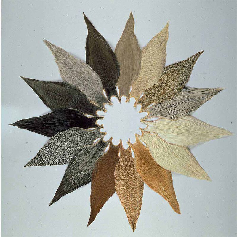 Demi cou de coq metz grade 2 naturel - Plumes | Pacific Pêche