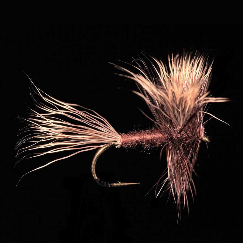 March Brown JMC 13 H12 (x3) - Sèches | Pacific Pêche