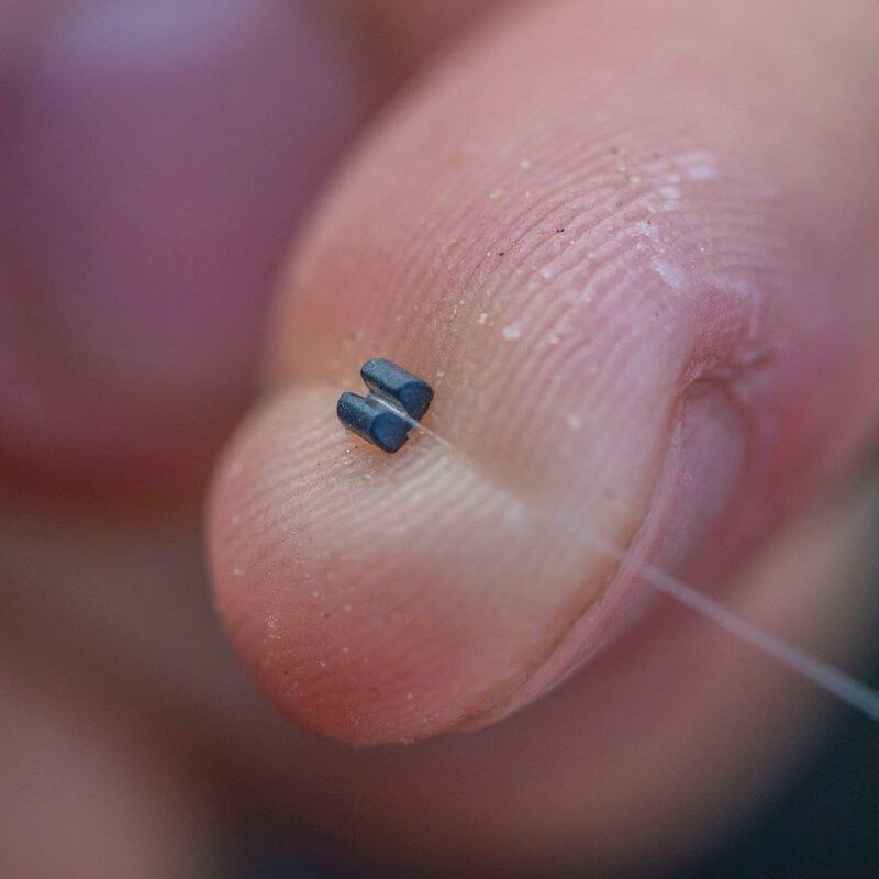 Micros plombs cubiques cues refill guru - Ronds | Pacific Pêche