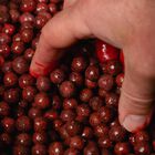 Booster carpe mainline smart liquid fish - Boosters / dips | Pacific P&ecirc;che