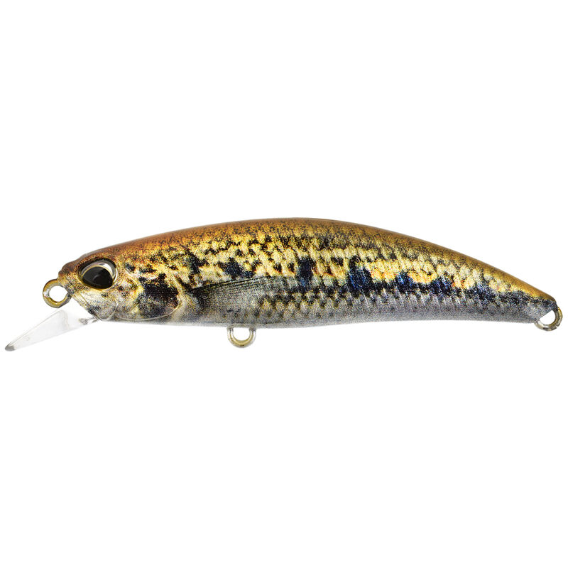 Leurre Dur Jerkbait Duo Ryuki 60S Spearhead 6cm, 5g - Jerkbaits | Pacific P&ecirc;che