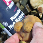 Liquide de trempage carpe cc moore roasted nut extract 500ml - Boosters / dips | Pacific Pêche