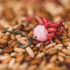 Perle Korda High Grip Hook Bead Large - Perles | Pacific P&ecirc;che