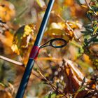 Canne GARBOLINO Optima XS VM - Cannes multi-brins | Pacific Pêche