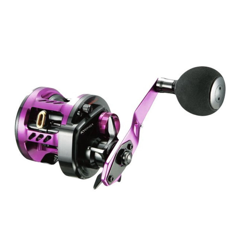 PAS CHER Moulinet Casting Daiwa PR 100 L PR100L Catalogue Daiwa