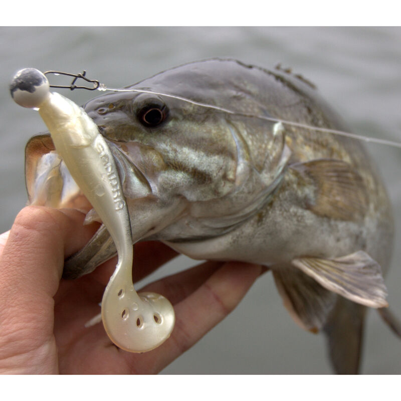 leurre souple Delalande SANDRA 12CM 10.9G (X3) - Grubs | Pacific P&ecirc;che