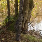 Fourreau 3+2 cannes 12&rsquo; solar camo undercover - Fourreaux | Pacific P&ecirc;che