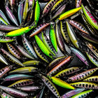 Leurre dur jerkbait carnassier babyface m100sr-sp 10cm 13,5g - Jerkbaits | Pacific P&ecirc;che