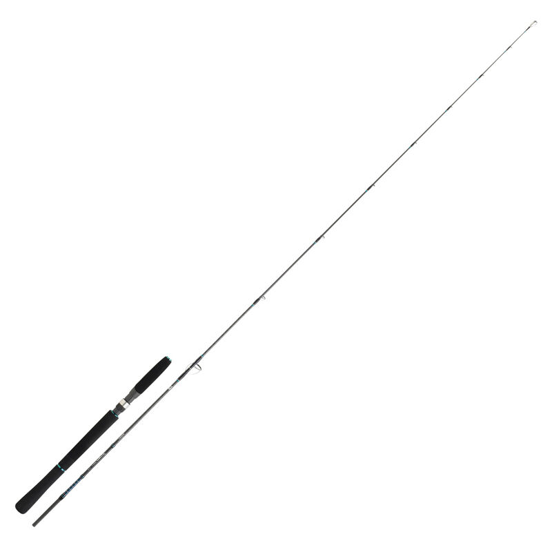 Canne jig daiwa saltist ii bay jigging bj 69s 2.07m 60-150g - Cannes | Pacific P&ecirc;che