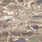 Couverture nash indulgence summer shroud wide - Couvertures | Pacific P&ecirc;che