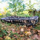 Tapis de réception Mack2 Falcon LTD Unhooking Mat - Tapis réception | Pacific Pêche