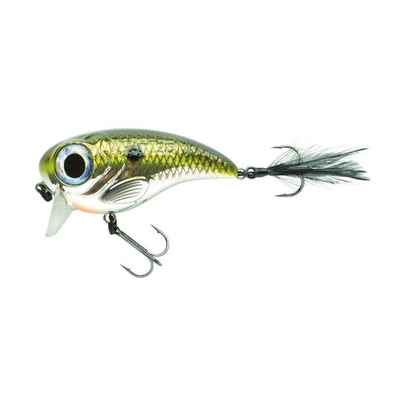 Leurre Dur Crankbait Spro Fat Iris 6cm, 17g - Crankbaits | Pacific P&ecirc;che
