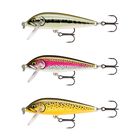 Kit poisson nageur Truite Rapala CD05 ARTISTIC - Jerkbaits | Pacific P&ecirc;che