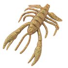 Leurre Souple Berkley Gulp Crabby - 5cm - Leurres souples | Pacific Pêche