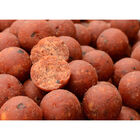 Bouillettes carpe solar quench 20mm - Denses | Pacific P&ecirc;che