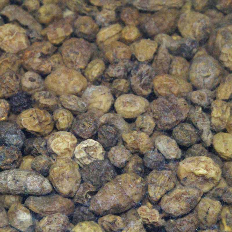 Graines s&egrave;ches carpe active baits tiger nuts micro. - S&egrave;ches | Pacific P&ecirc;che