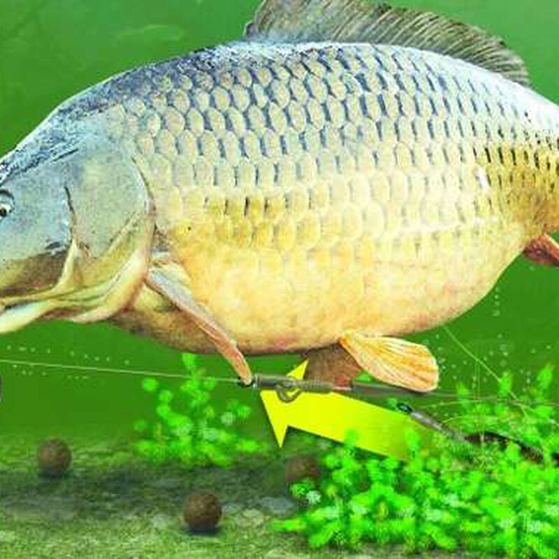 Montage carpe korda lead clip action pack - Kit Montage Complet | Pacific Pêche