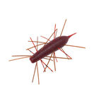 Leurre Souple Créature Geecrack Imo Kemushi 6cm, 4g (x4) - Ecrevisses / Créatures | Pacific Pêche