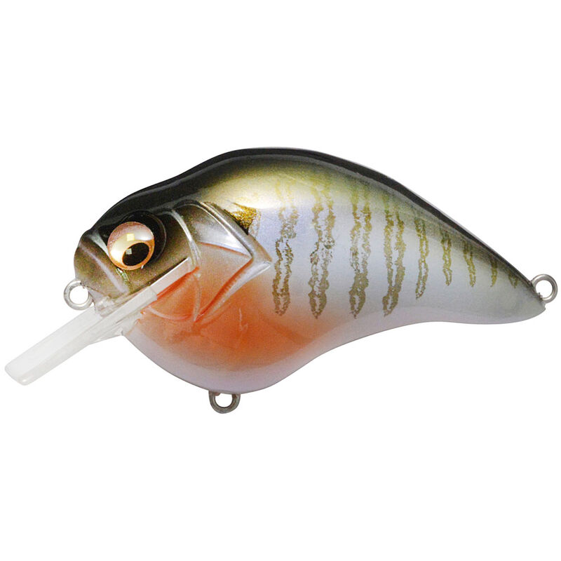 Leurre dur crankbait carnassier megabass s crank 1.2 6cm 10.5g - Crankbaits | Pacific Pêche