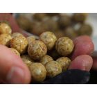 Booster carpe mainline smart liquid fruit - Boosters / dips | Pacific P&ecirc;che