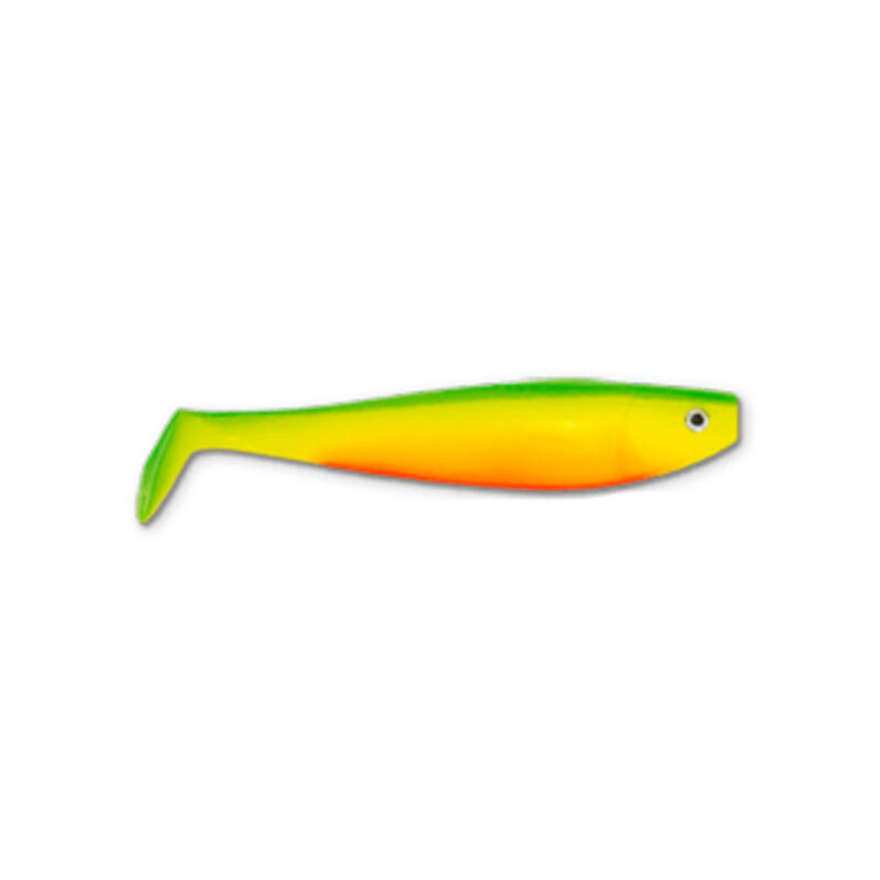 Leurre Souple Shad Delalande Shad GT 13cm (x2) - Shads | Pacific P&ecirc;che
