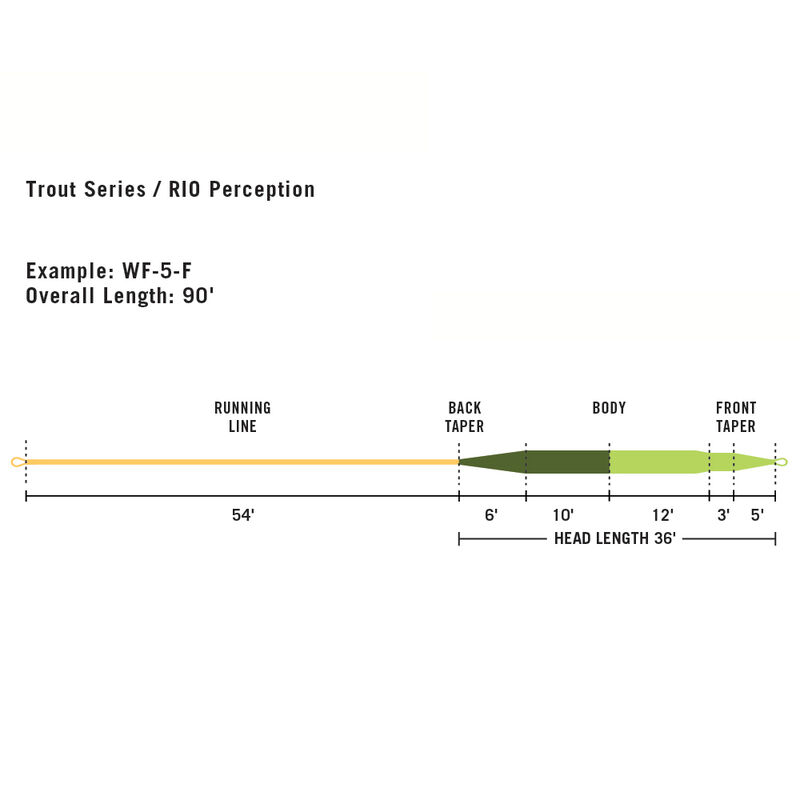 Soie flottante rio perception intouch wf - Flottantes | Pacific Pêche