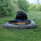 Tapis de r&eacute;ception Korda Compac Hybrid Mat - Tapis r&eacute;ception | Pacific P&ecirc;che