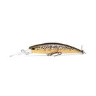 Leurre Dur Jerkbait DUO Spearhead Ryuki 70 MDSP 5.6g - Jerkbaits | Pacific P&ecirc;che