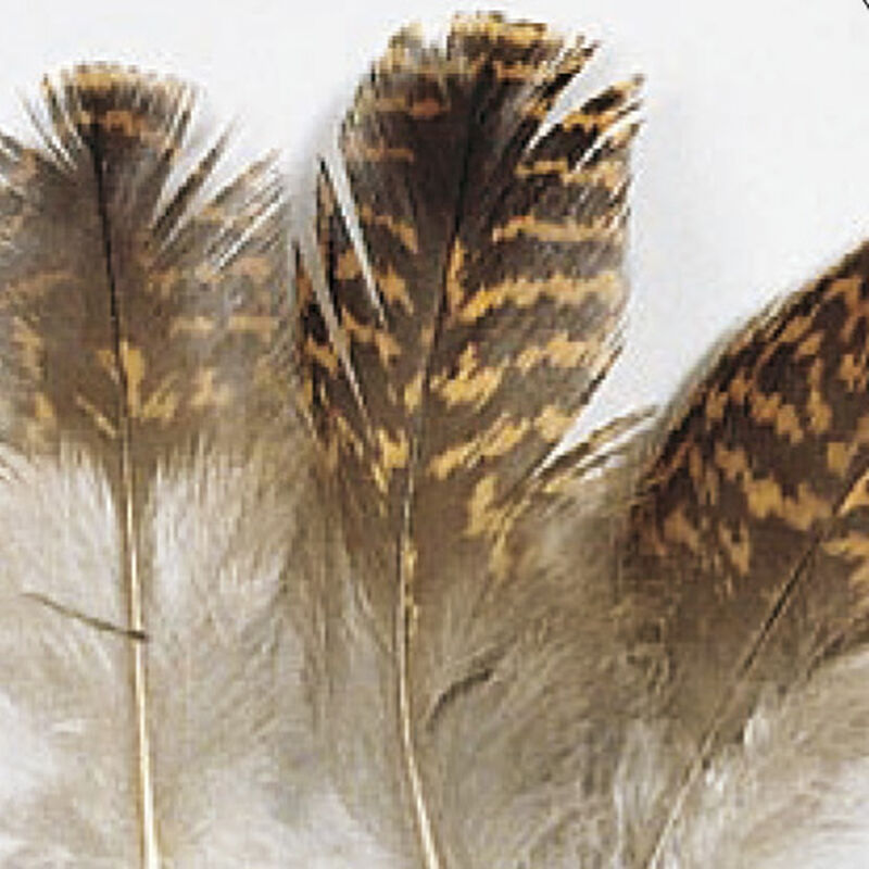 Fly tying plumes grouse tetras jmc - Plumes | Pacific Pêche