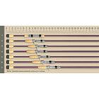 Canne casting carnassier st croix mojo bass 6'8 mh jig n worm 2.03m 10.5-28g - Cannes Casting | Pacific Pêche