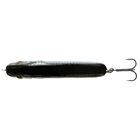 Leurre Dur Jerkbait Biwaa Raffal 3" 7.5CM, 17G - Jerkbaits | Pacific P&ecirc;che