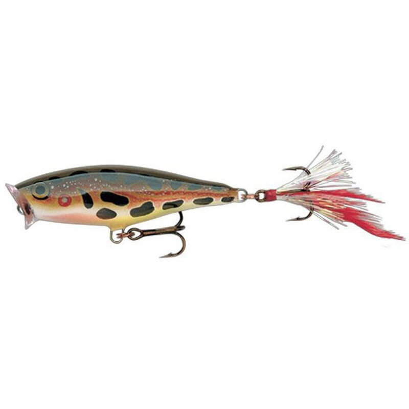 Leurre de Surface Rapala Skitter Pop 5cm, 7g - Surface | Pacific P&ecirc;che