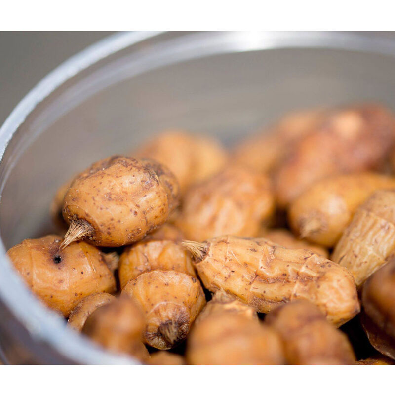 Graines cuites carpe mainline jumbo tigers with added multi-stim 3l - Pr&ecirc;tes &agrave; l'emploi | Pacific P&ecirc;che