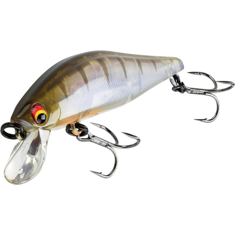 Leurre dur minnow truite daiwa tournament wise minnow 5cm 5,2g - Jerkbaits | Pacific P&ecirc;che