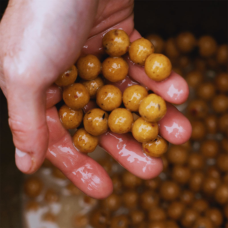 Liquide Attractant Dynamite Baits Peppered Fruit Attract 500ml - Boosters / dips | Pacific P&ecirc;che