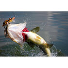 Leurre dur swimbait carnassier savage gear 3d rad f 20cm 32g - Swimbaits | Pacific P&ecirc;che