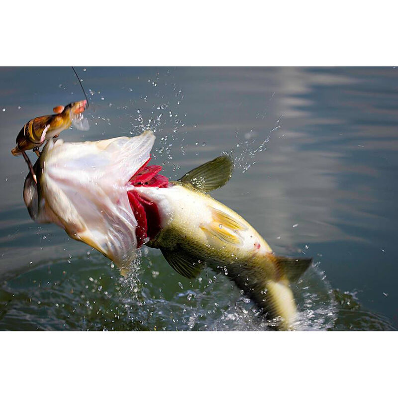 Leurre dur swimbait carnassier savage gear 3d rad f 20cm 32g - Swimbaits | Pacific P&ecirc;che