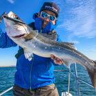 Leurre dur jerkbait carnassier babyface m100sr-sp 10cm 13,5g - Jerkbaits | Pacific P&ecirc;che