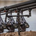 Spport de Cannes Solar Buzz Bar Black Lite Captive 3 Cannes Medium - Buzz Bar | Pacific Pêche