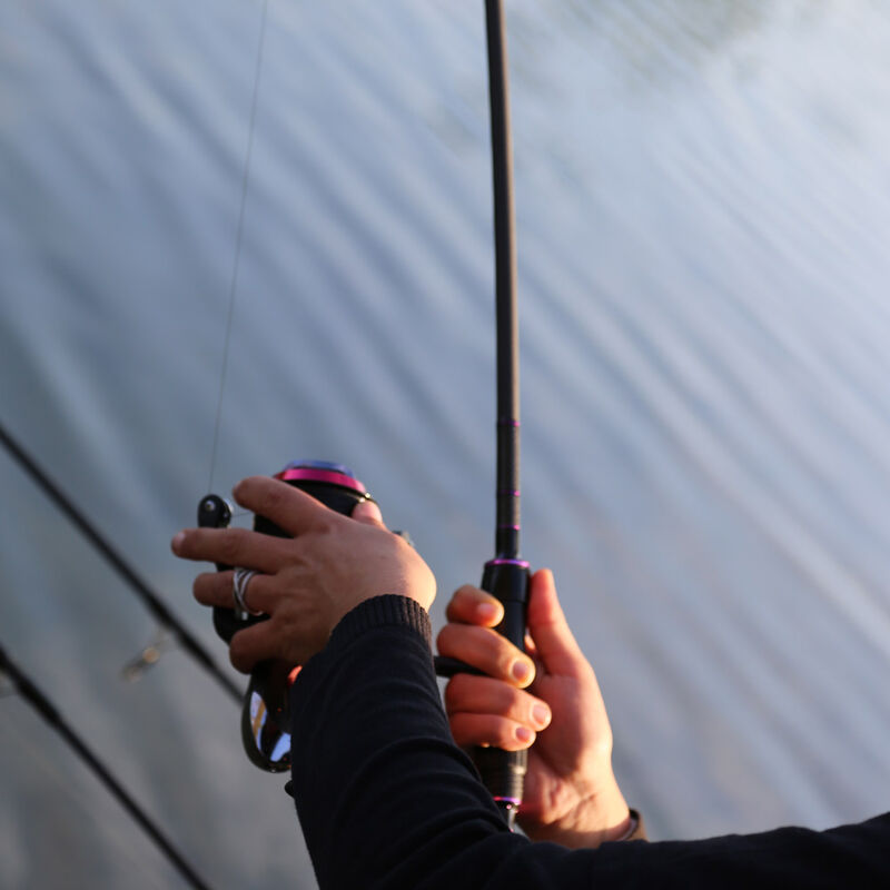 Canne &agrave; carpe mack2 lady falcon 10' 3lbs - Cannes &le;11' | Pacific P&ecirc;che