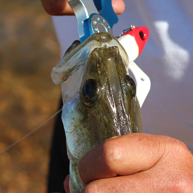 Leurre souple virgule carnassier delalande sandra mont&eacute; 12cm 10g - Grubs | Pacific P&ecirc;che