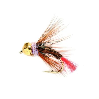 Nymphe tungstene silverstone pheasant tag rouge tail h12 (x3) - Nymphes | Pacific Pêche