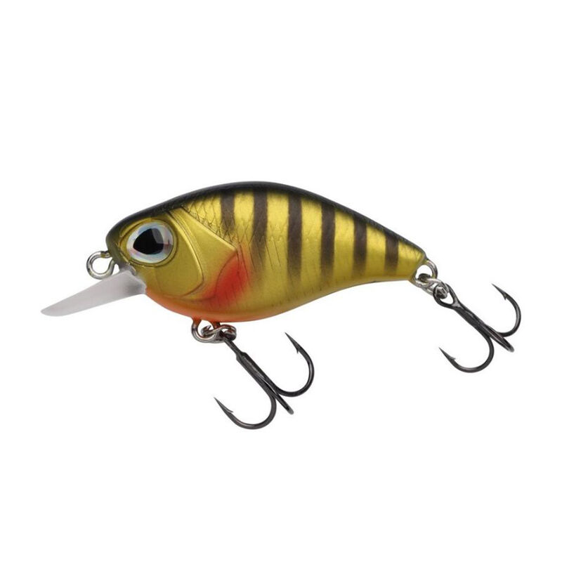 Leurre Dur Crankbait Berkley Dex Thumper Floating 4cm, 3.7g - Crankbaits | Pacific Pêche