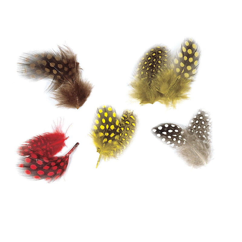 Fly tying plumes de pintade jmc - Plumes | Pacific Pêche