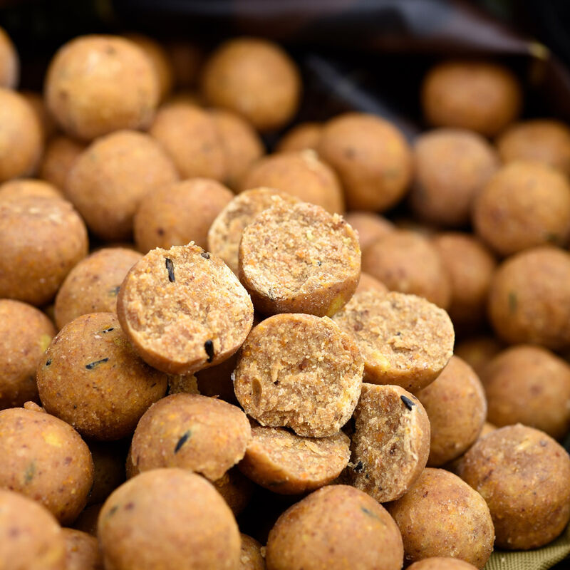 Bouillettes carpe cc moore live system shelflife 24mm 1kg - Denses | Pacific P&ecirc;che