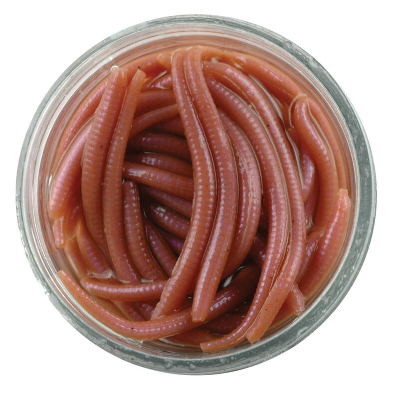 Glup Alive Berkley Angle Worm 3cm - Appâts artificiels | Pacific Pêche