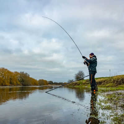 GURU N-GAUGE SPECIMEN BARBEL 12' 2.25LB - Cannes feeder | Pacific P&ecirc;che