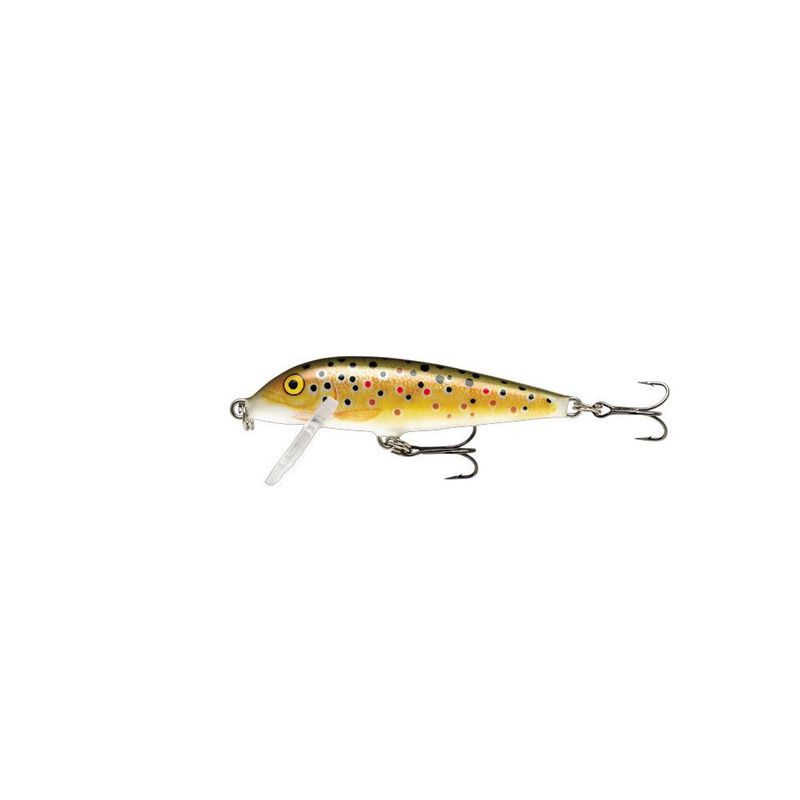 Leurre Dur Jerkbait Rapala Countdown 5cm, 5g - Jerkbaits | Pacific P&ecirc;che