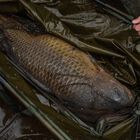 Sac de pes&eacute;e Korda Basix Weigh Sling - Sacs Pes&eacute;e | Pacific P&ecirc;che