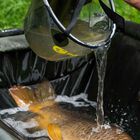 Seau souple carpe ridge monkey perspective 10L - Seaux | Pacific Pêche